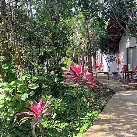 Collection O Ecovergel Hotel Boutique Spa In Tulum