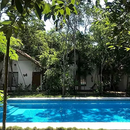 Collection O Ecovergel Hotel Boutique Spa In Tulum