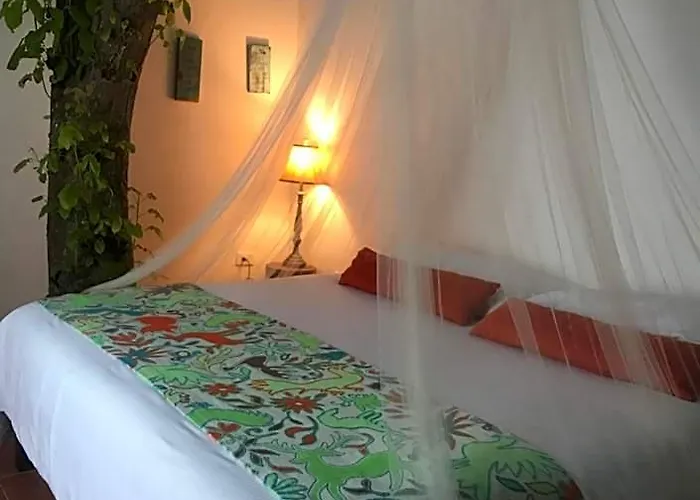 Ecovergel Hotel Riviera Maya