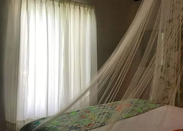 Hotel Collection O Ecovergel Hotel Boutique Spa In Tulum Riviera Maya