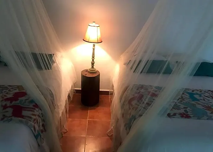 Hotel Collection O Ecovergel Hotel Boutique Spa In Tulum 3*