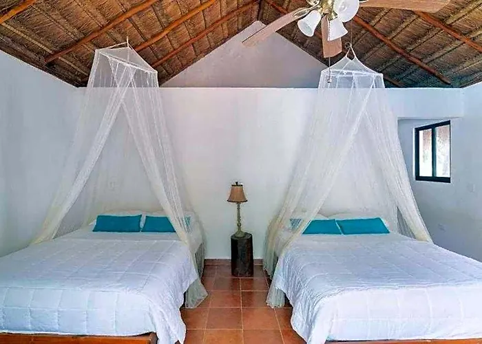 Ecovergel 3*