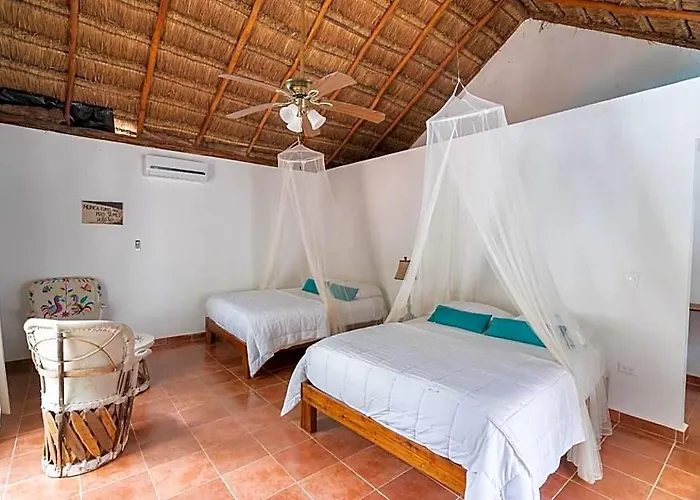 Ecovergel 3*